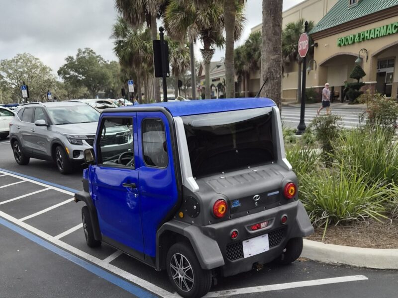 This golf cart was parked in a handicapped accommodation zone at Publix