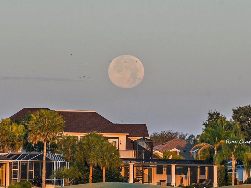 'Wolf Moon' setting over Lake Sumter