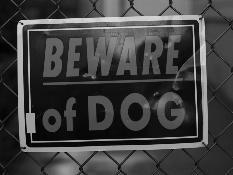 Beware of Dog sign