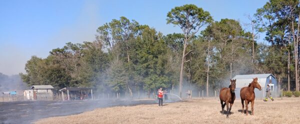 Homeowners on Lake Ella Road used garden hoses to fight back the flames as horses fled. Homeowners on Lake Ella Road used garden hoses to fight back the flames as horses fled.