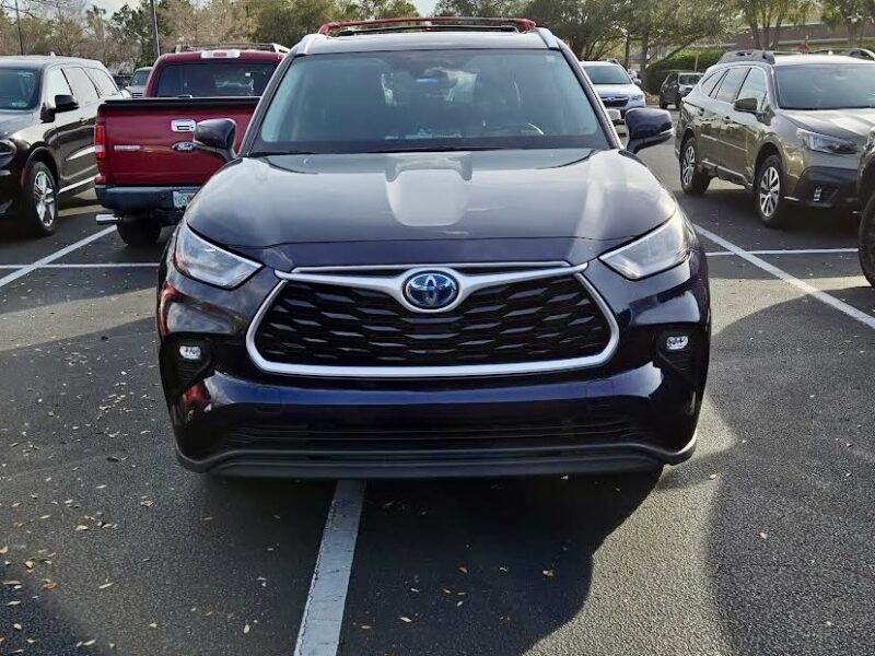 This vehicle was parked right down the center line at The Chop House at Lake Sumter Landing