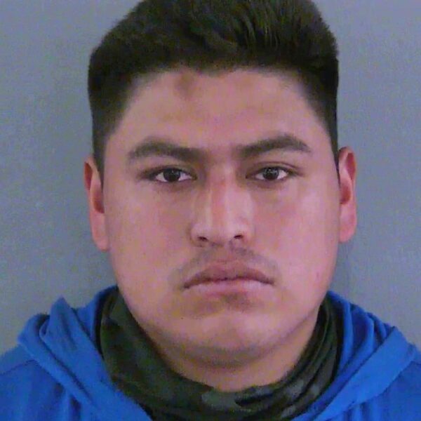 Alfredo Domingo Hernandez Diaz Alfredo Domingo Hernandez Diaz