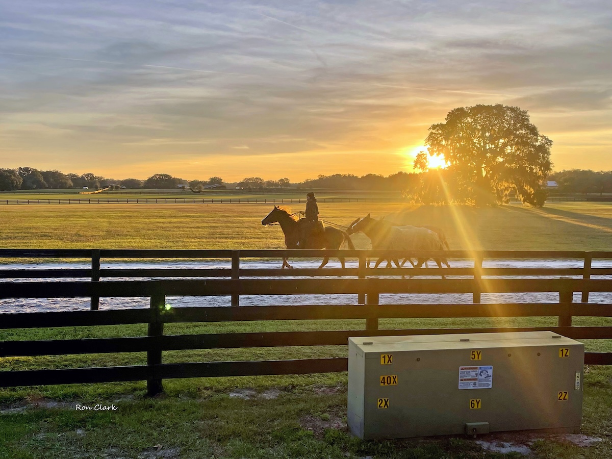 Beautiful sunrise near The Villages Polo Fields Beautiful sunrise near The Villages Polo Fields