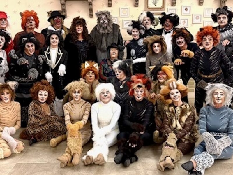 CATS