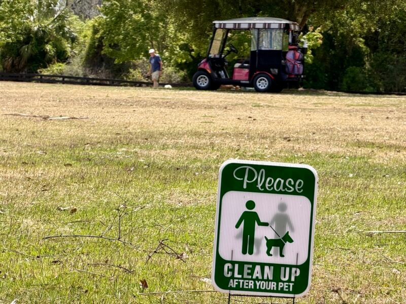 Clean up after your pet sign with dog - man in the background