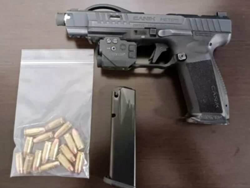 Gun