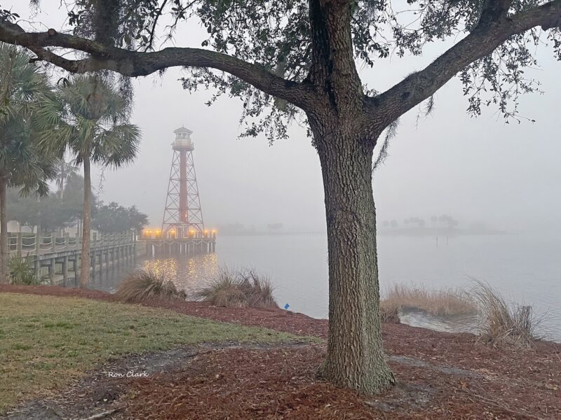 Morning fog at Lake Sumter Landing