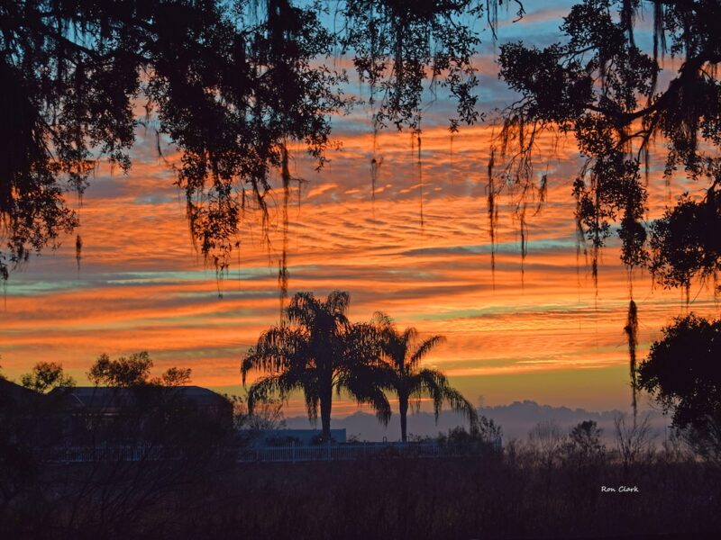 Sunrise over Live Oaks Park in The Villages