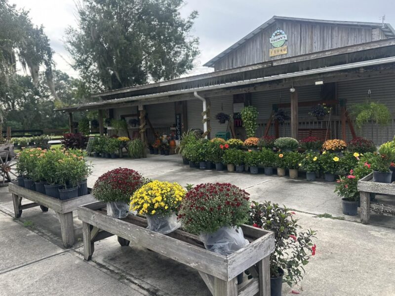 Brown - Brown Farms and Country Store