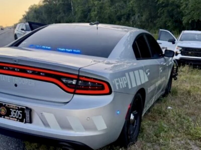 FHP arrest on i 75