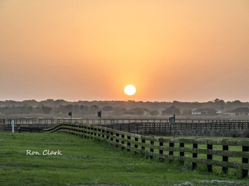 Morning sun rises over Sharon Rose Wiechens Preserve