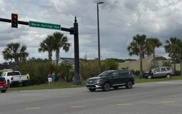 The driver who caused the accident wound up crashing into a palm tree