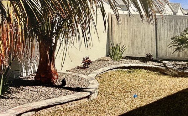 The homeowner scrambled to file a retroactive ARC appication after discovering the landscaper never filed an application with the ARC The homeowner scrambled to file a retroactive ARC appication after discovering the landscaper never filed an application with the ARC