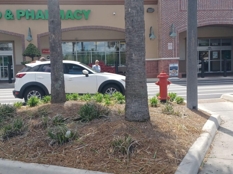 This driver found a great parking spot while making a recent grocery run