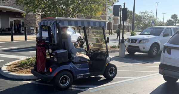 This golf cart driver, and his dog, were parked in a handicapped accommodation zone at Publix This golf cart driver, and his dog, were parked in a handicapped accommodation zone at Publix
