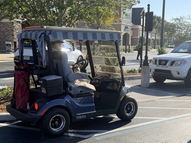 This golf cart driver, and his dog, were parked in a handicapped accommodation zone at Publix