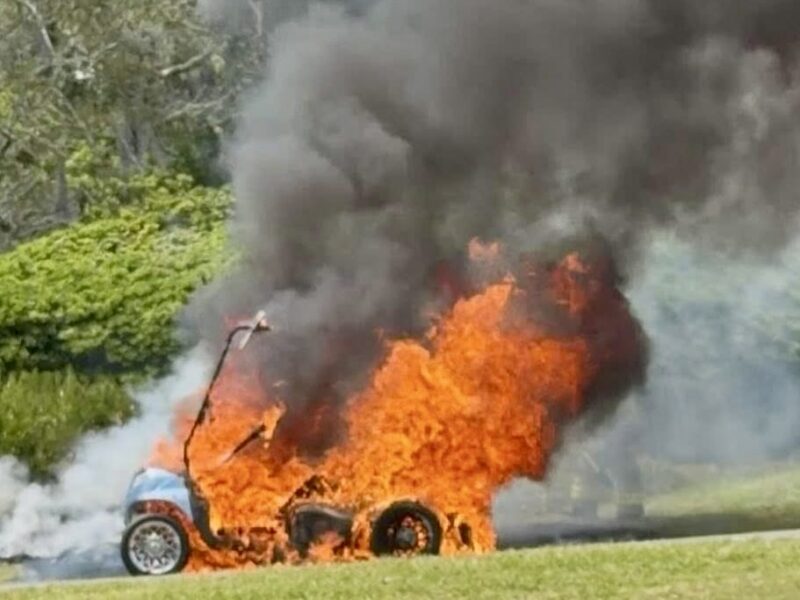 This golf cart erupted in flames Tuesday afternoon in The Villages
