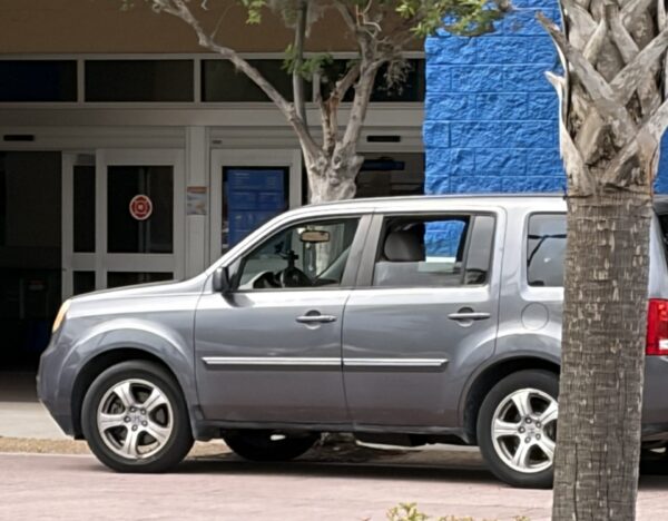 This super privileged shopper enjoyed some excellent front door parking This super privileged shopper enjoyed some excellent front door parking