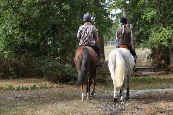 horseback