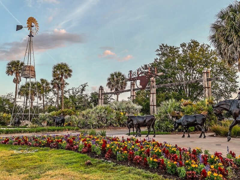 Beautiful morning welcomes visitors to Brownwood Paddock Square