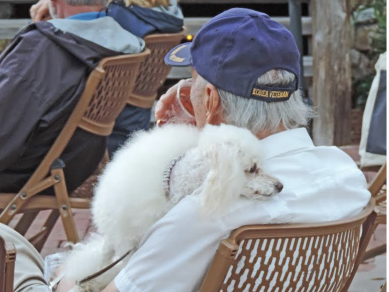 Dog at town square