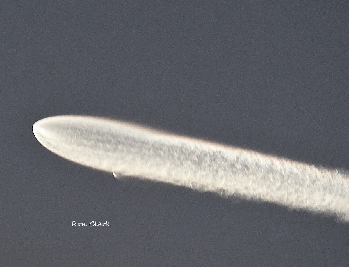 SpaceX launch creates glowing ‘space jellyfish’ over The Villages SpaceX launch creates glowing ‘space jellyfish’ over The Villages