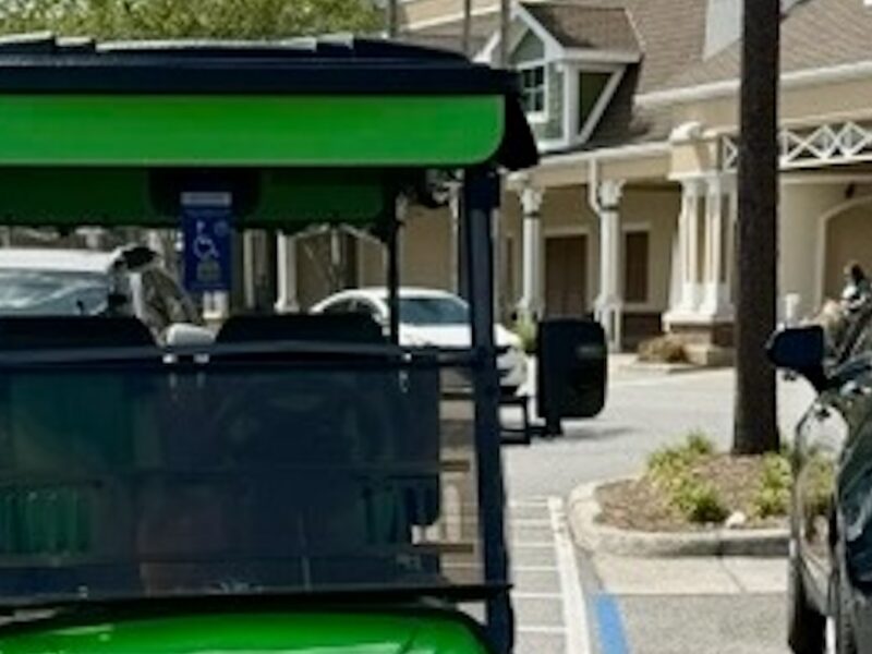 This golf cart, displaying a handicapped placard was parked in the handicapped accommodation zone at Publix at Colony Plaza