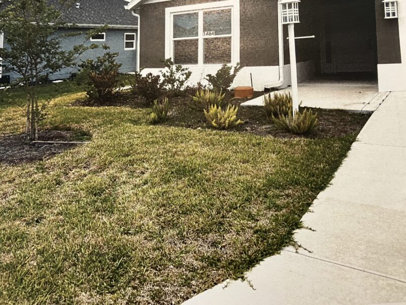 This home at 1484 Sophie St. in the Village of Well Point has had a problem with weeds