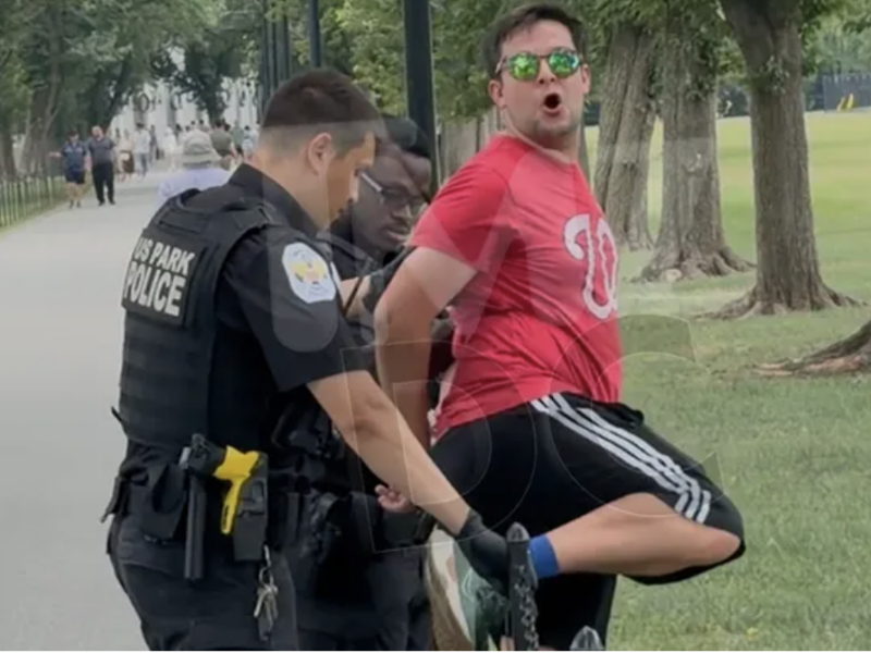 Reflecting pool vandals arrested