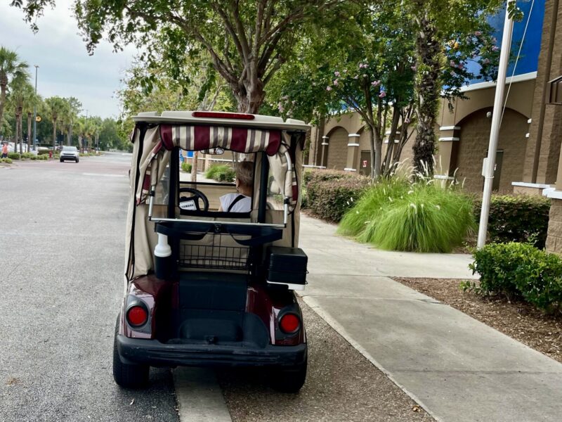 This passenger carefully guards the golf cart parked at the entrnace to Walmart 2