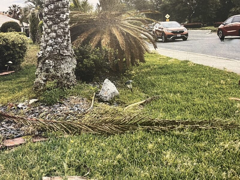 This unkempt yard at 1569 Andrews Ave. in the Village of Sunset Pointe has become a problem