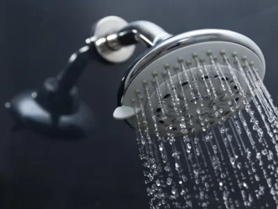 Use a bucket to catch water in your shower and give it to your plants