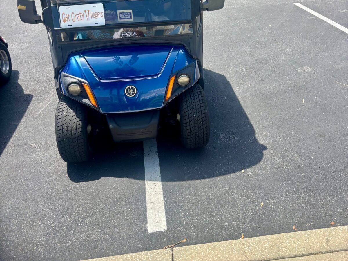 Cat Crazy Villager has problem parking at pool