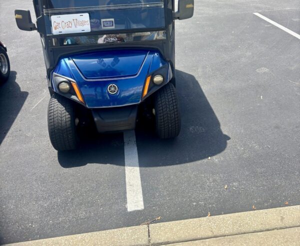 A Cat Crazy Villager had aproblem parking at a pool A Cat Crazy Villager had aproblem parking at a pool
