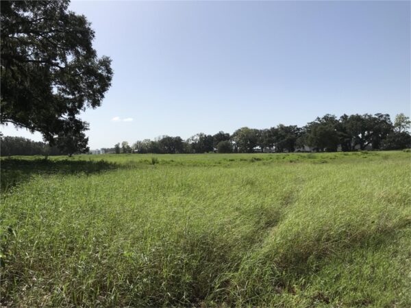 A photo of the multi acre parcel in Oxford that was just sold for$3.5 million