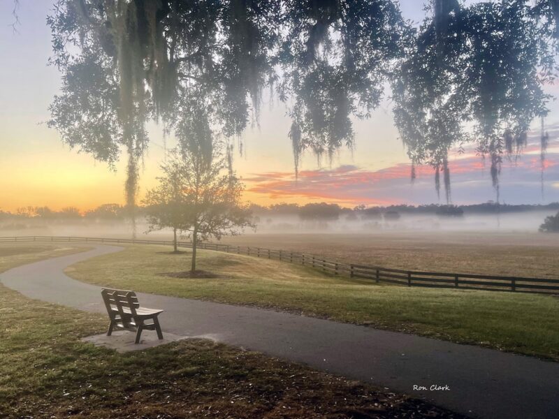 Misty sunrise brings a humid start to the day at Hogeye Pathway