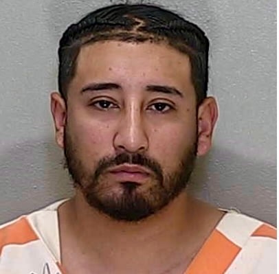 Niko Rosa Niko Rosa