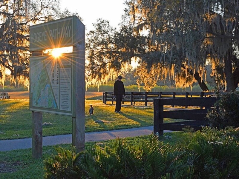 Sunburst illuminates a morning walk at Hogeye Pathway