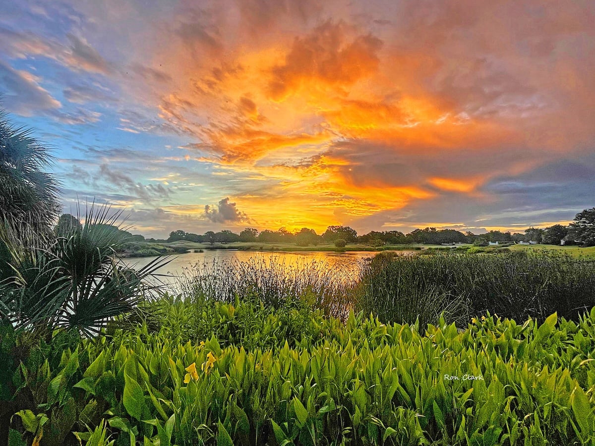 Sunrise captured over Hawkes Bay Executive Golf Course