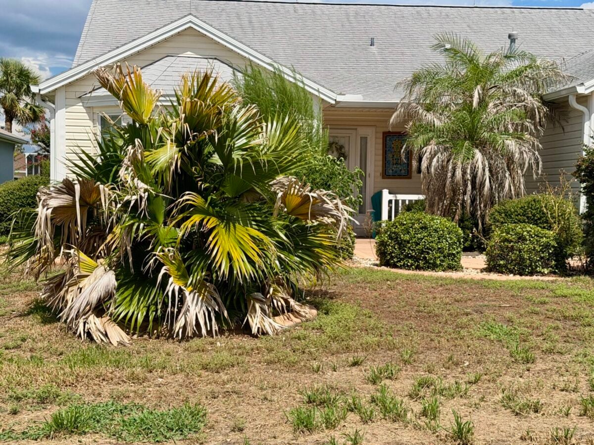 Son’s inherited property turns into neighbor’s nightmare in The Villages