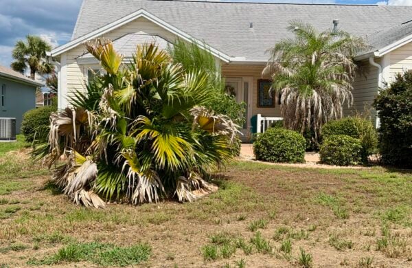 This house at 701 Pine Hills Place in the Village of Winifred has become a sore point in the neighborhood This house at 701 Pine Hills Place in the Village of Winifred has become a sore point in the neighborhood