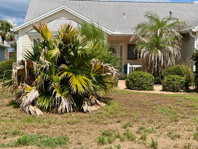 This house at 701 Pine Hills Place in the Village of Winifred has become a sore point in the neighborhood