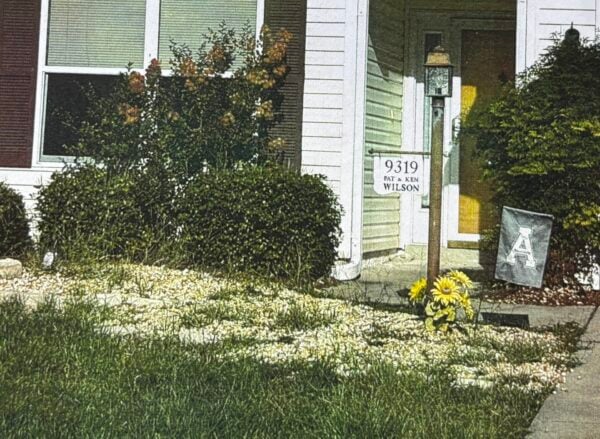 Weeds Wilson Weeds Wilson