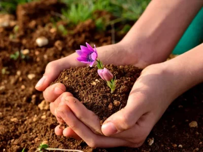 CDD 2 supervisor to host monthly Q&A with special gardening presentation