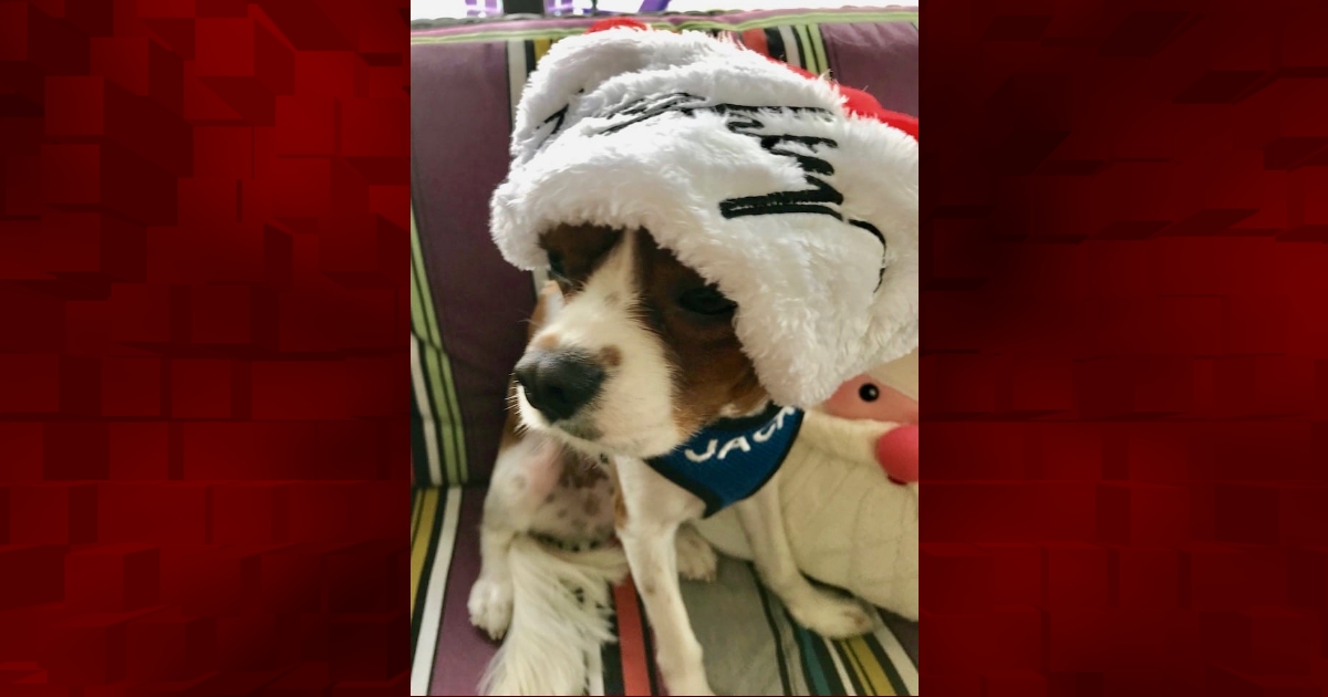 ‘Wild Child’ Jack McHugh ready to Santa in Village of LaBelle